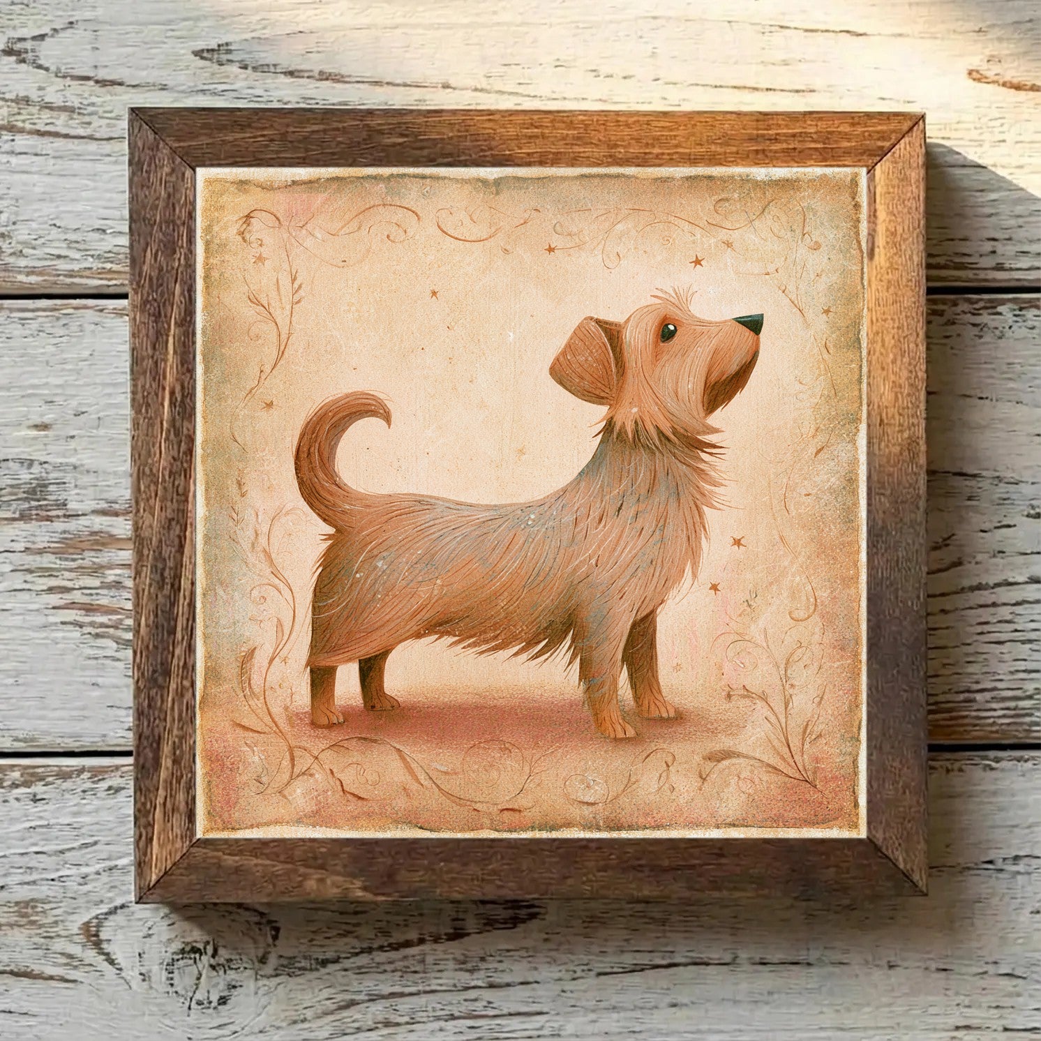 Norfolk Terrier Grizzle - Variation 3