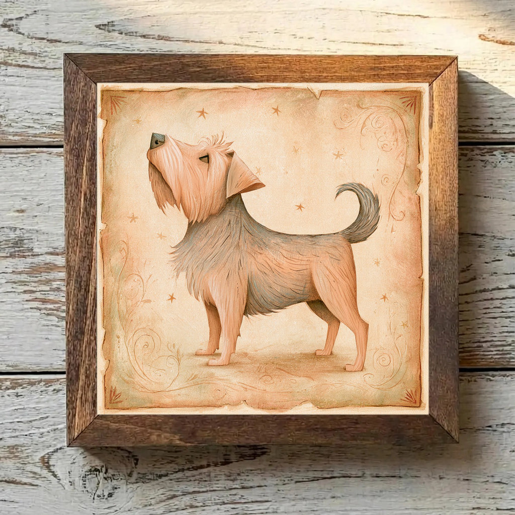 Norfolk Terrier Grizzle - Variation 4