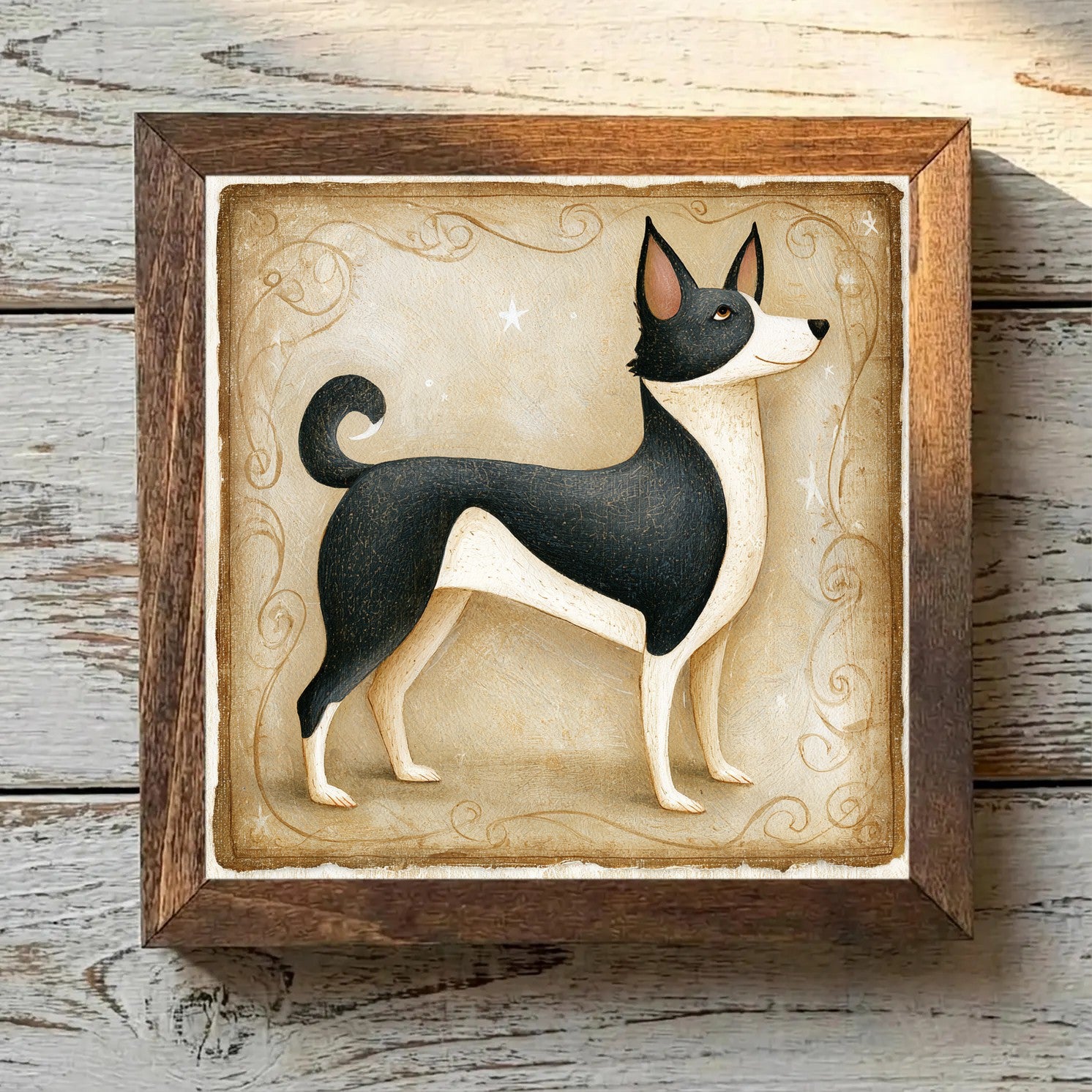 Norwegian Lundehund Black & White - Variation 4
