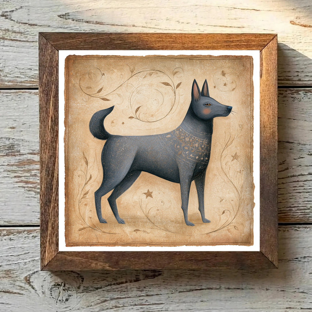 Norwegian Elkhound Gray - Variation 3