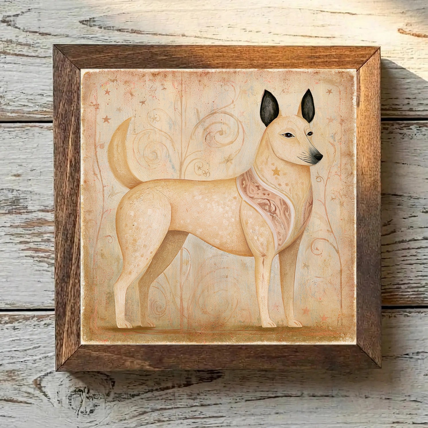 Norwegian Buhund Wheaten - Variation 3
