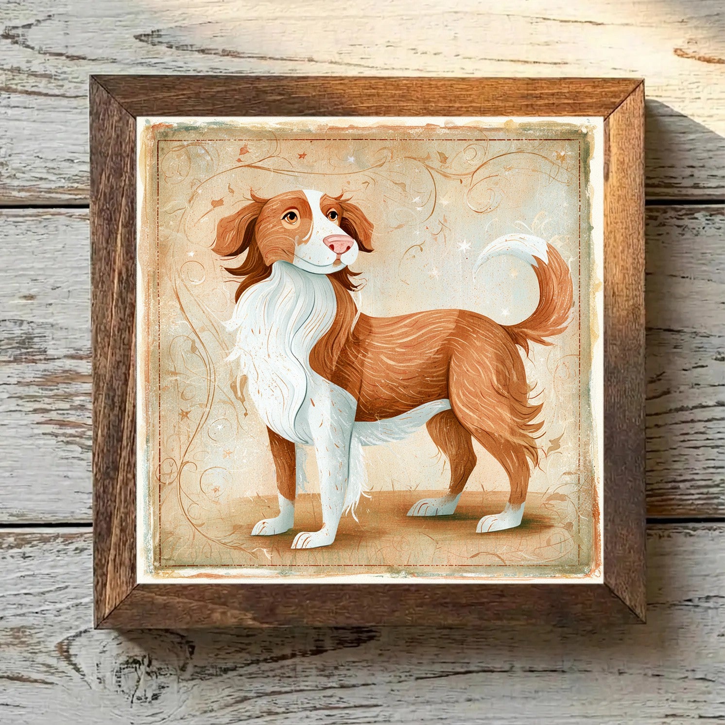 Nova Scotia Duck Tolling Retriever Orange - Variation 1