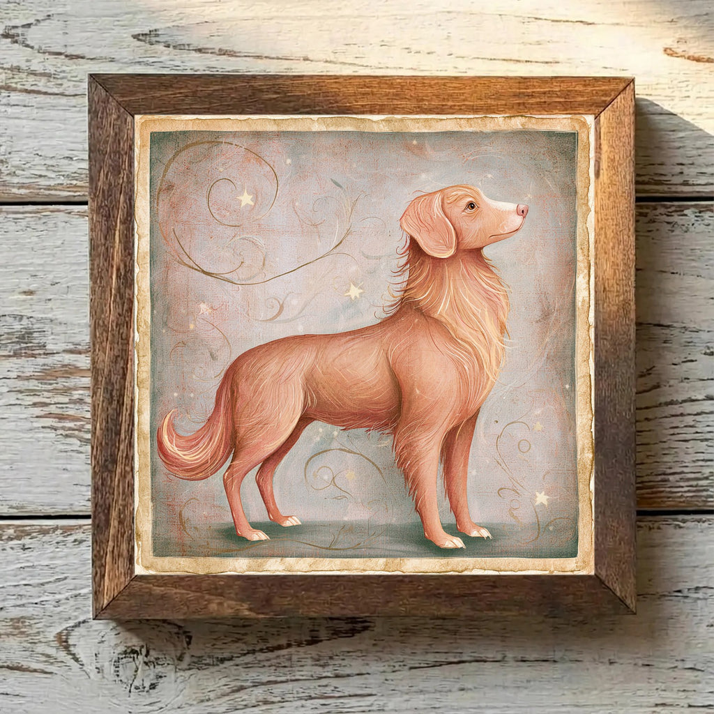 Nova Scotia Duck Tolling Retriever Orange - Variation 4