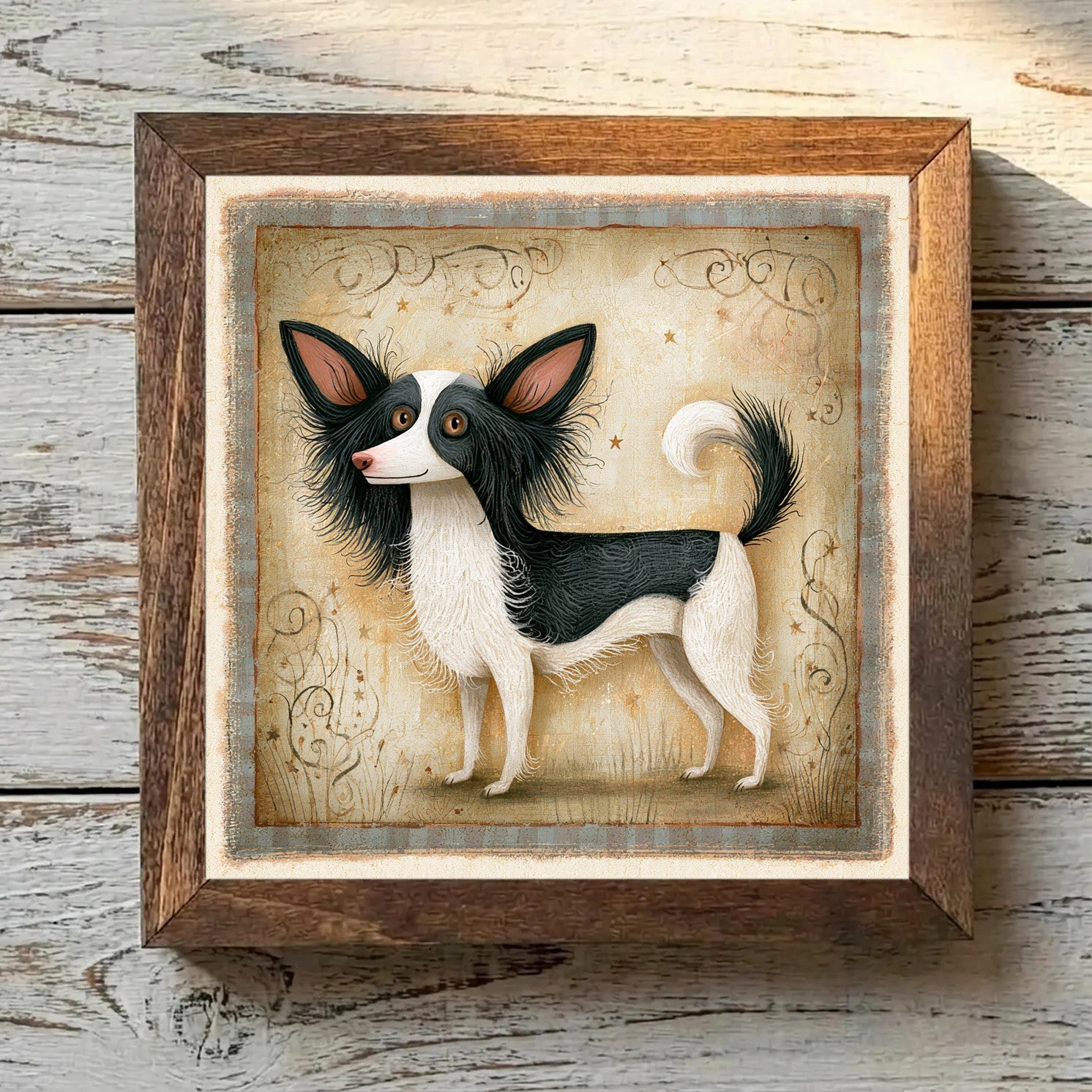 Papillon White & Black - Variation 3
