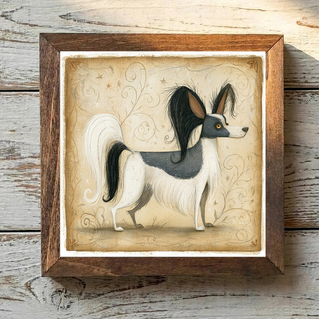 Papillon White & Black - Variation 4