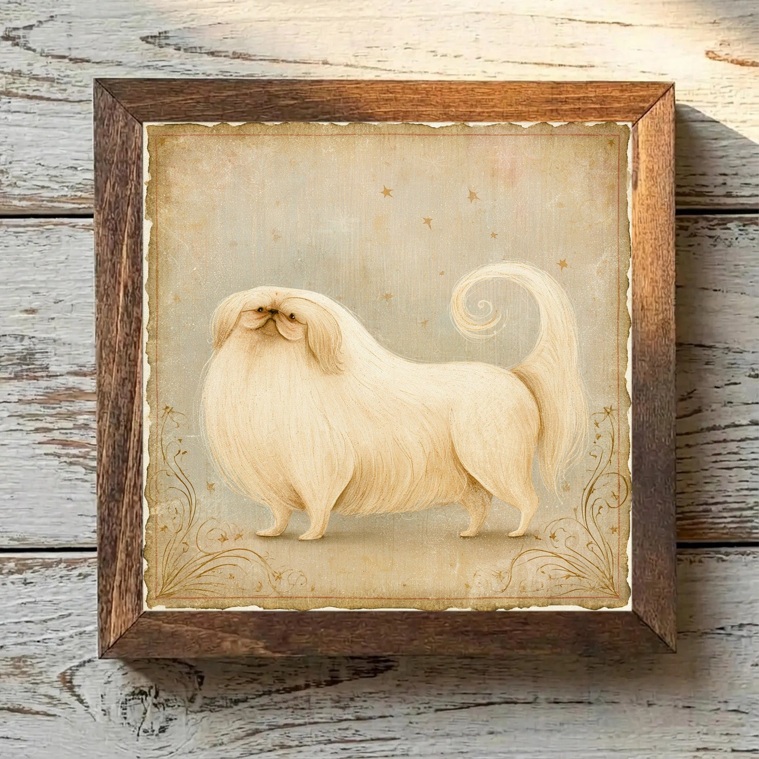 Pekingese Cream - Variation 2