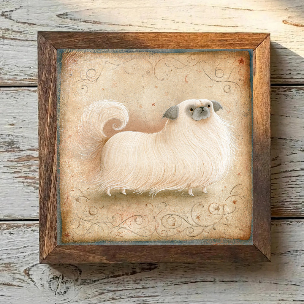 Pekingese Cream - Variation 4