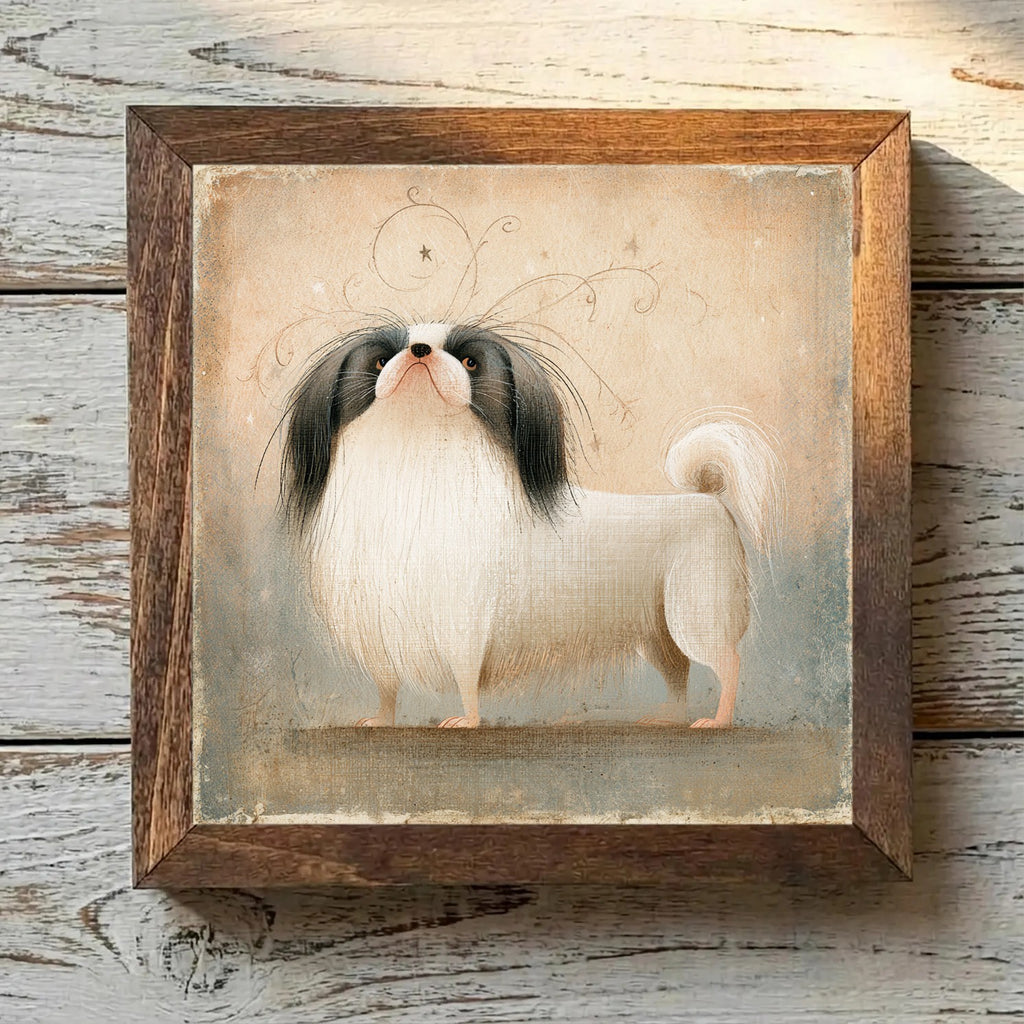 Pekingese Parti - Variation 1