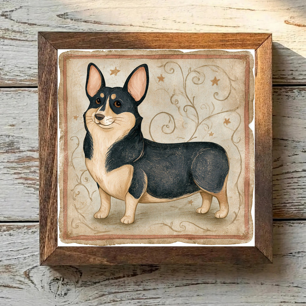 Pembroke Welsh Corgi Black & Tan - Variation 1