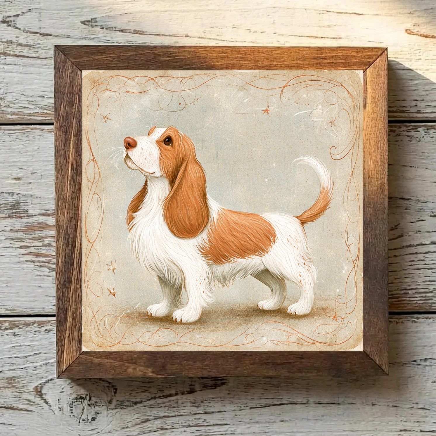 Petit Basset Griffon Vendéen White & Orange - Variation 2