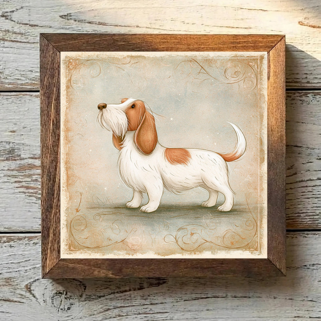 Petit Basset Griffon Vendéen White & Orange - Variation 3