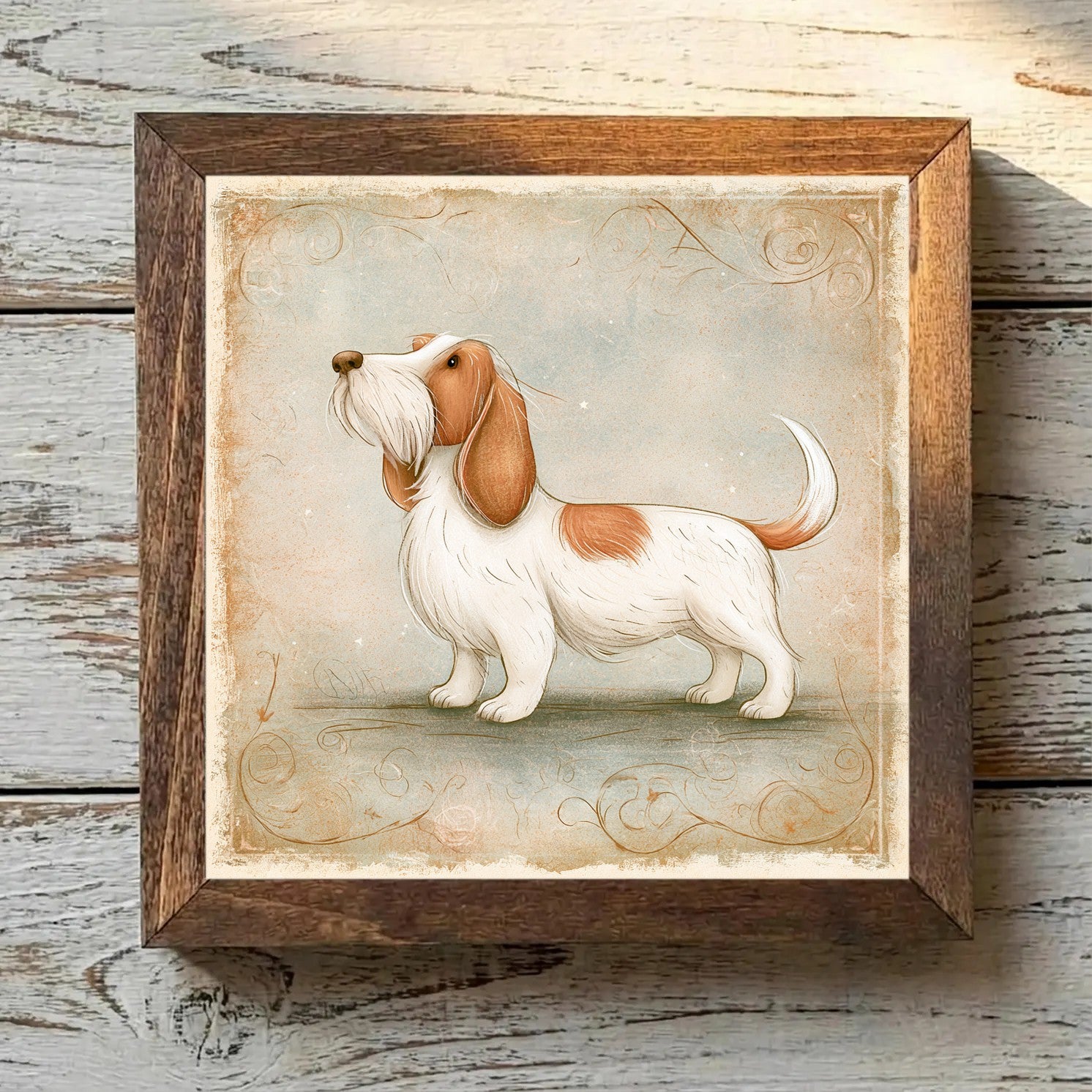 Petit Basset Griffon Vendéen White & Orange - Variation 3