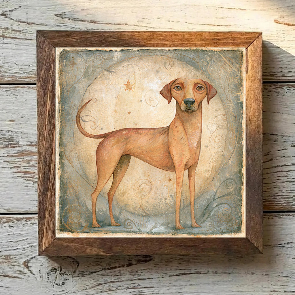 Plott Hound Buckskin - Variation 4