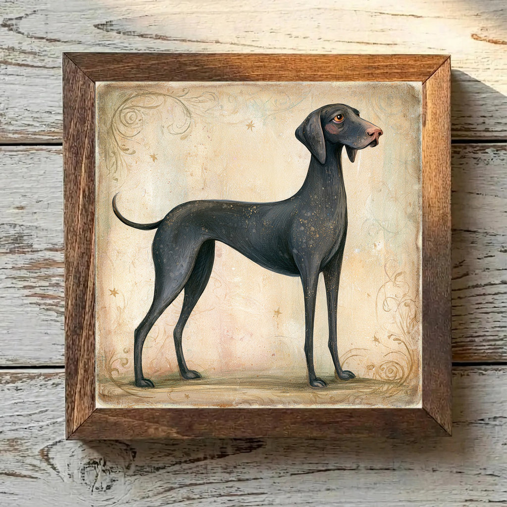 Pointer Black - Variation 3