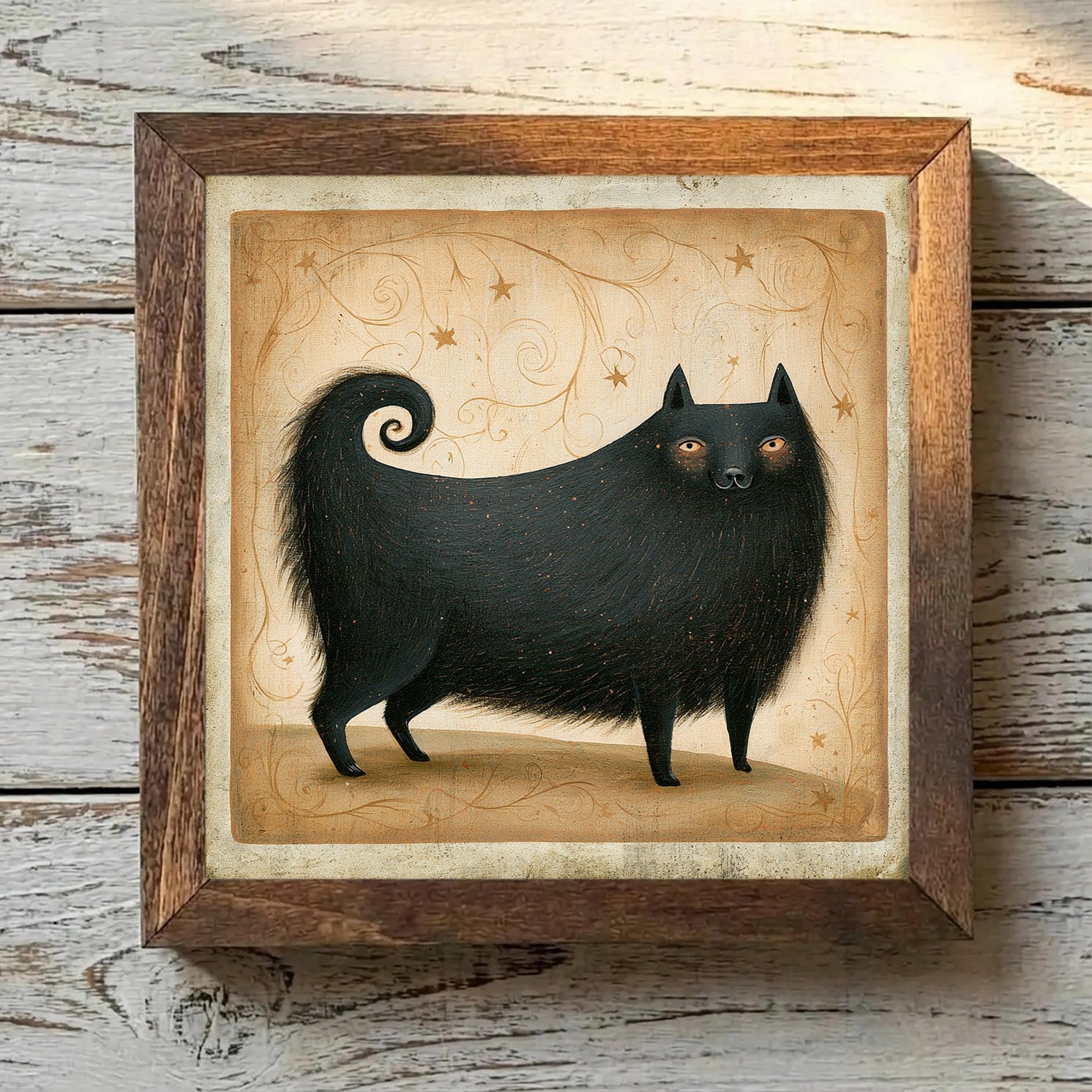 Pomeranian Black - Variation 2