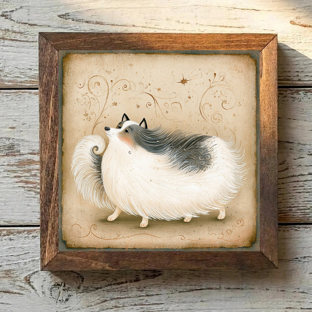 Pomeranian Merle - Variation 1