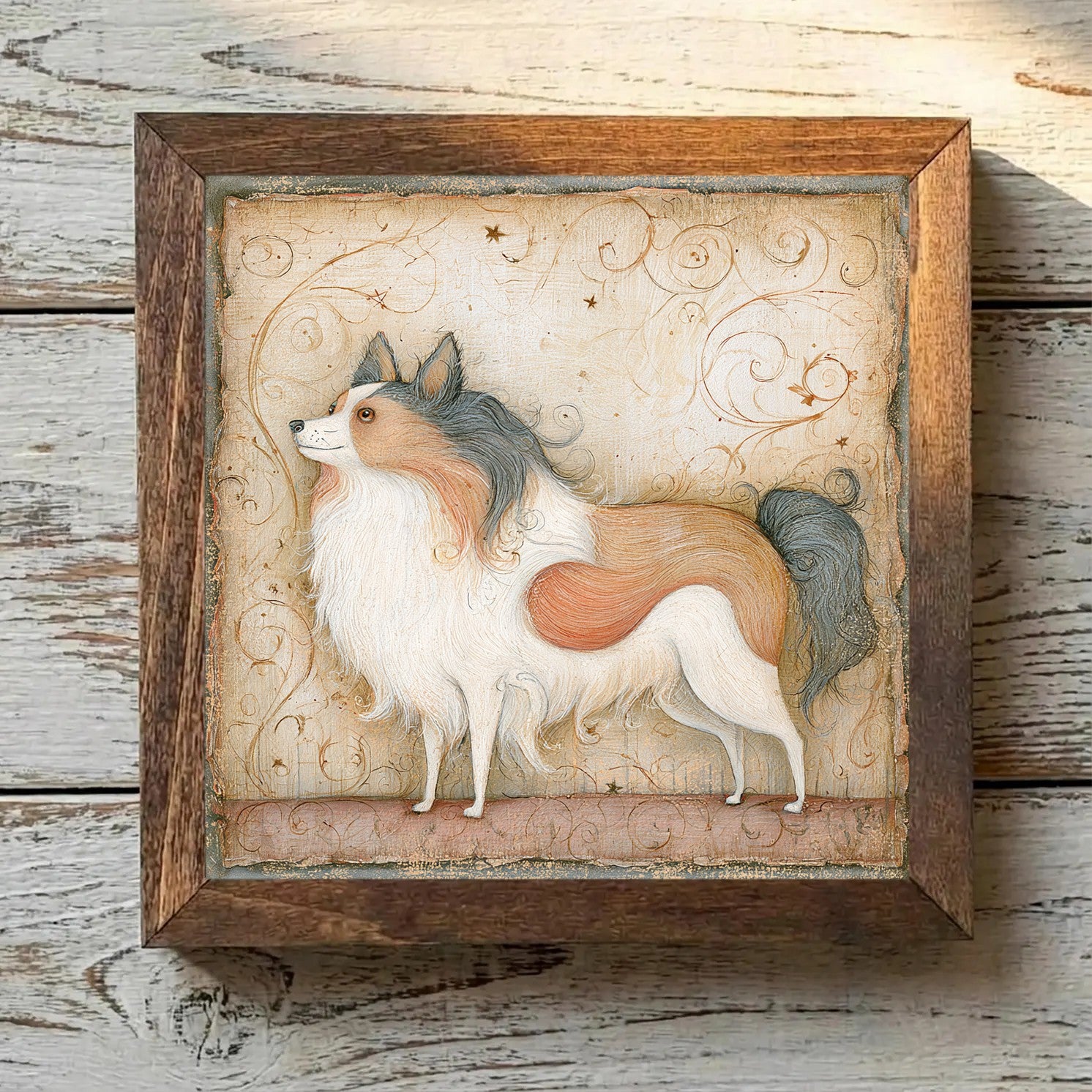 Pomeranian Parti - Variation 1