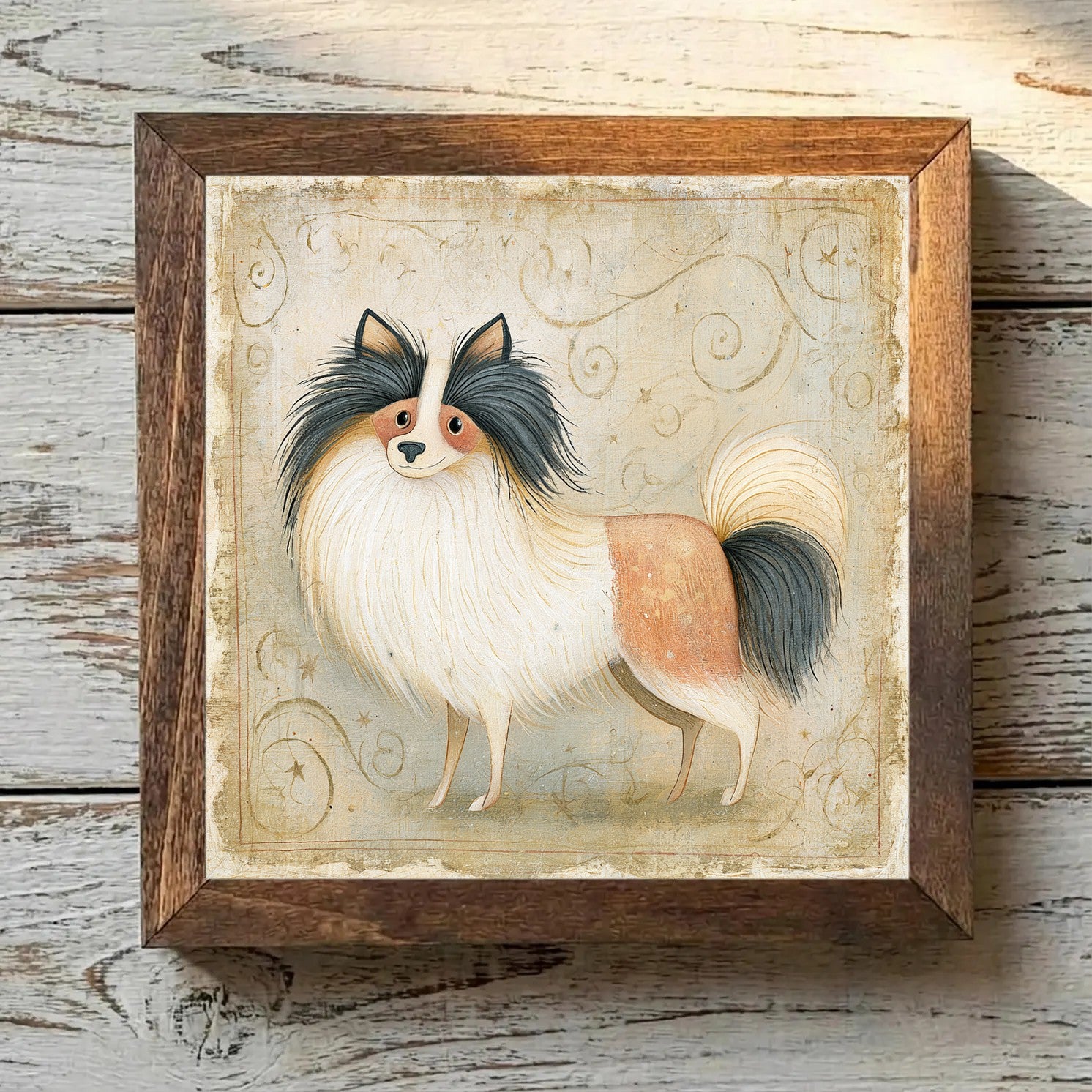 Pomeranian Parti - Variation 2