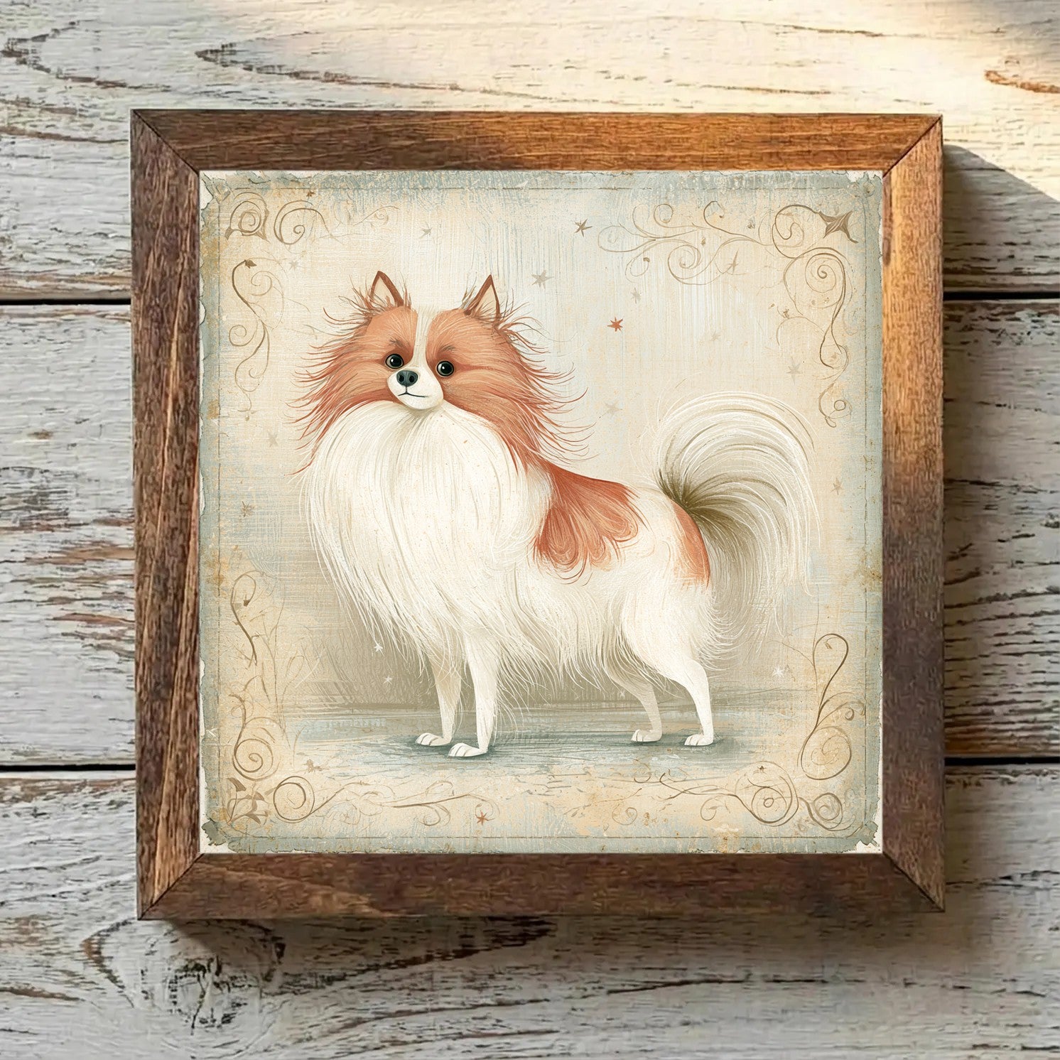 Pomeranian Parti - Variation 3