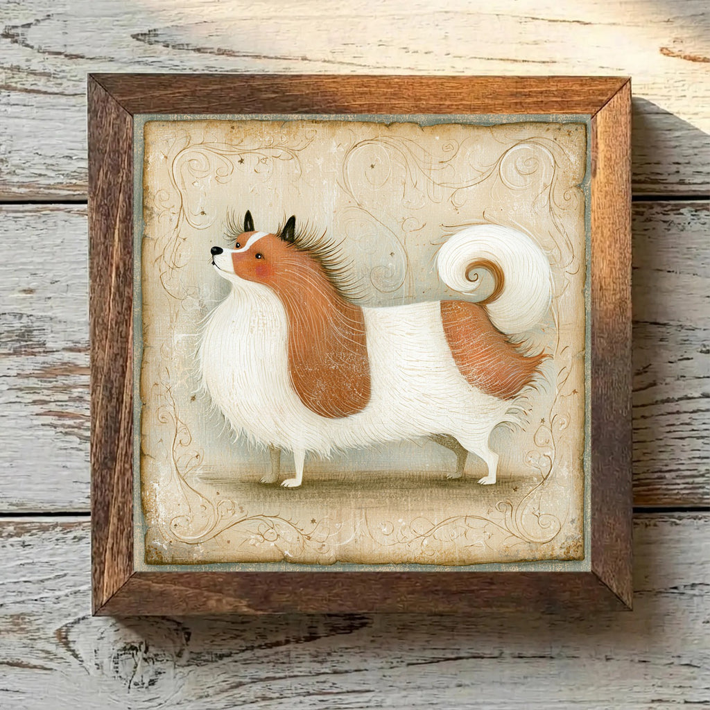 Pomeranian Parti - Variation 4