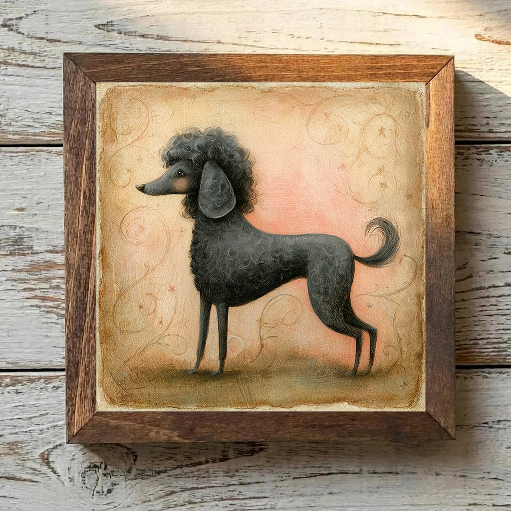 Poodle (Miniature) Black - Variation 1