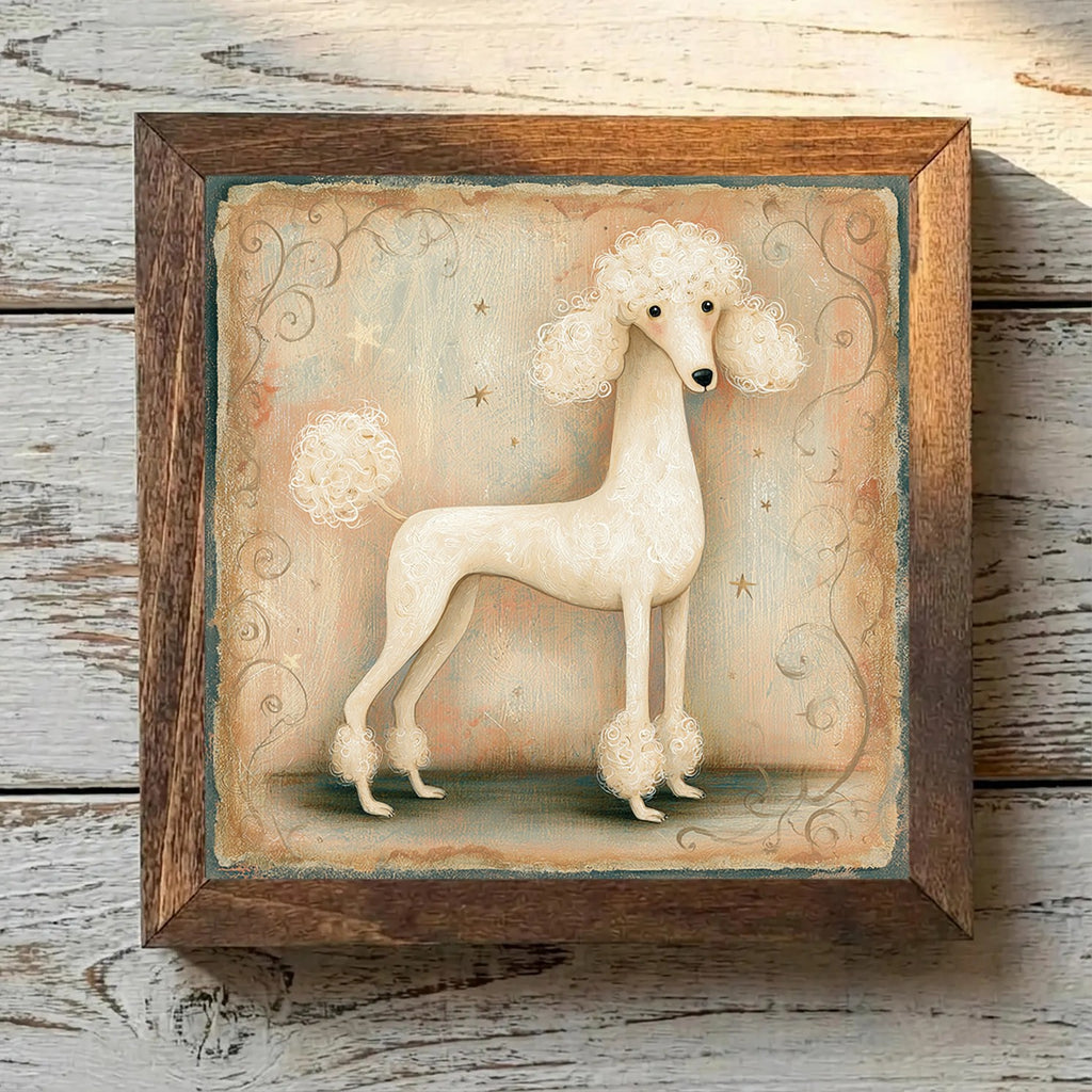 Poodle (Miniature) Cream - Variation 4