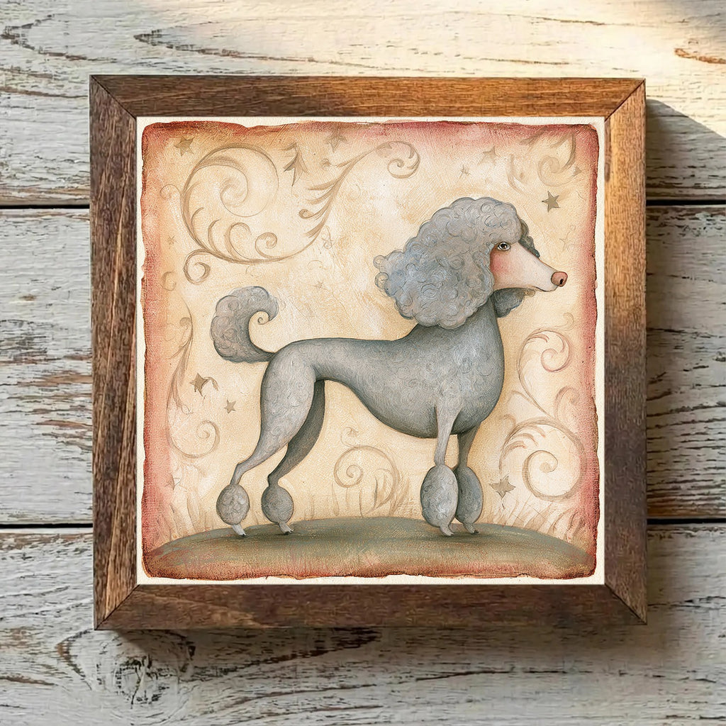Poodle (Miniature) Gray - Variation 2
