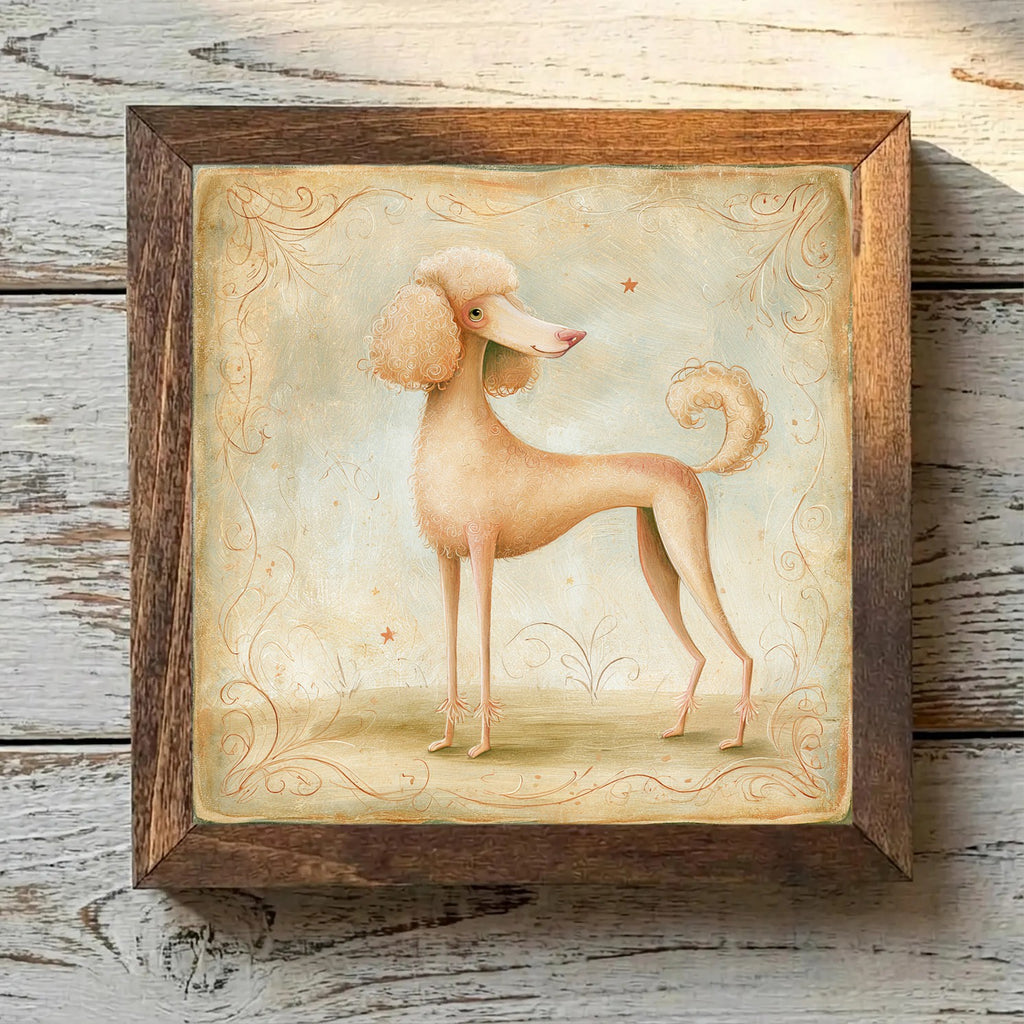 Poodle (Standard) Apricot - Variation 1