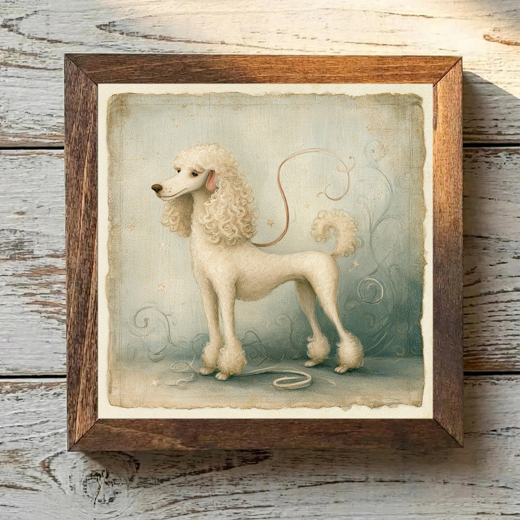 Poodle (Standard) Cream - Variation 2