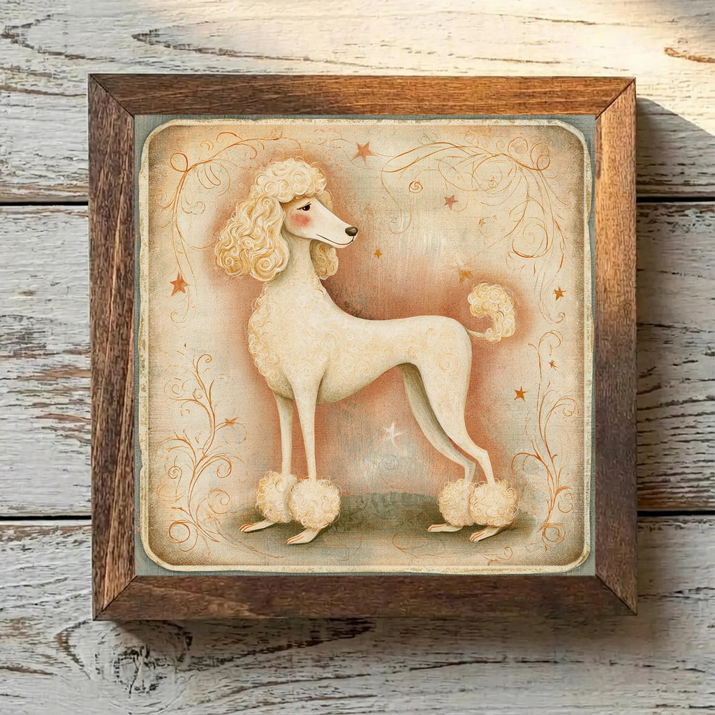 Poodle (Standard) Cream - Variation 3