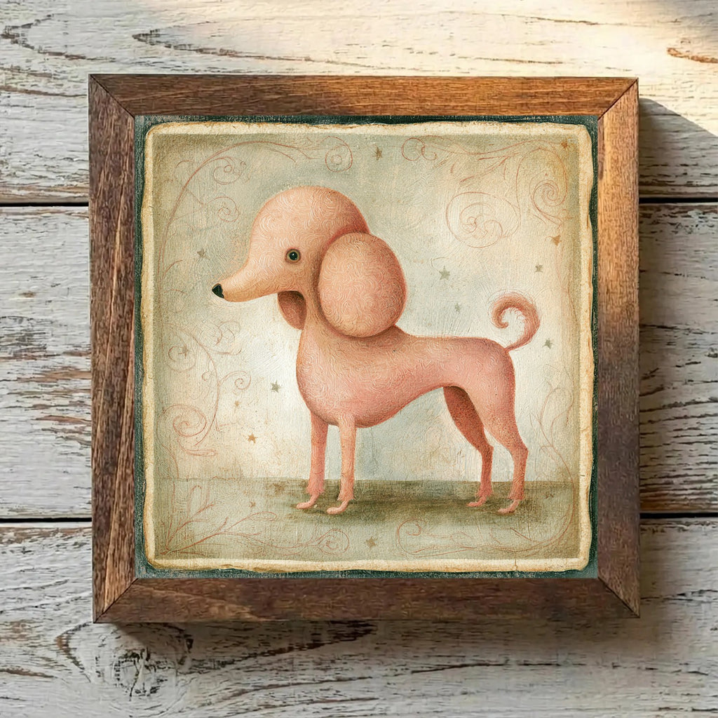 Poodle (Toy) Apricot - Variation 3