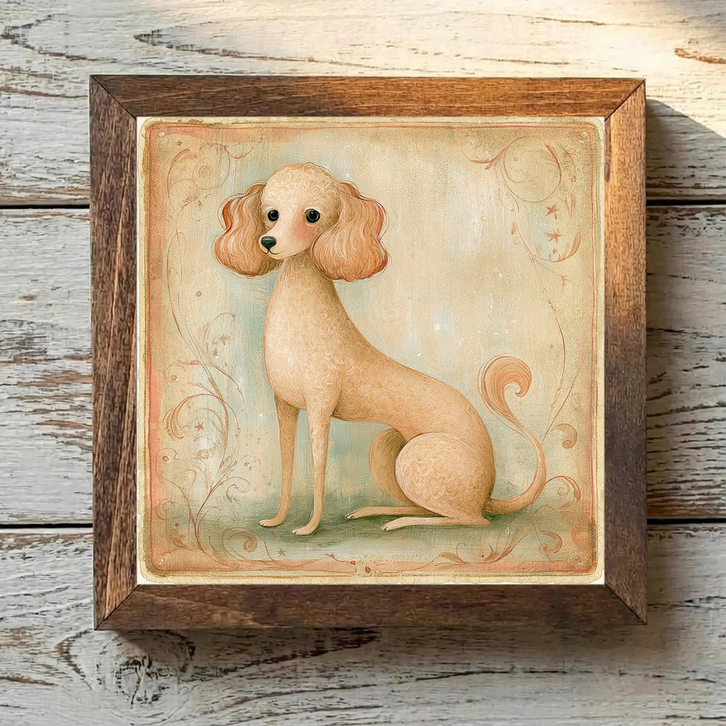 Poodle (Toy) Apricot - Variation 4