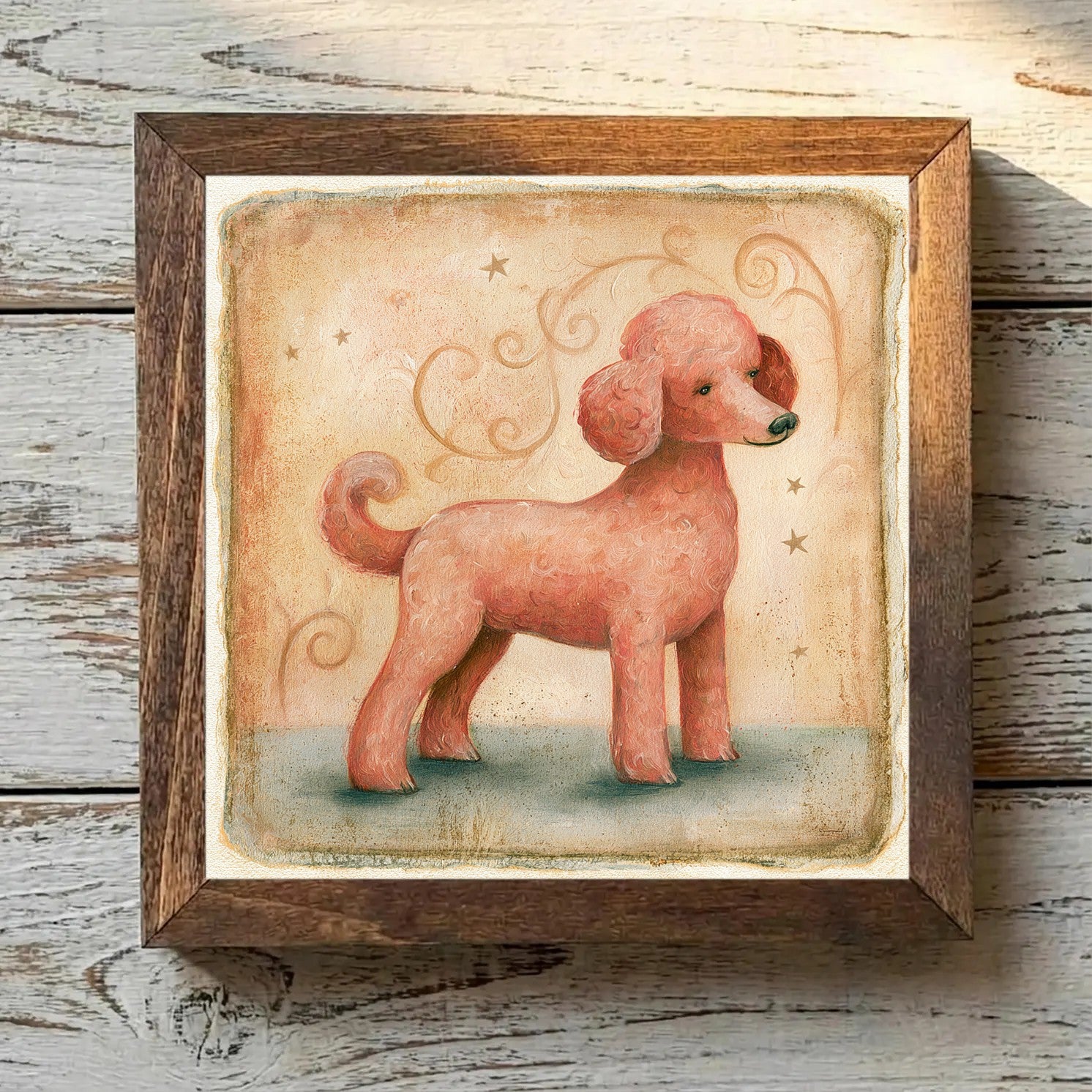 Poodle (Toy) Red - Variation 3