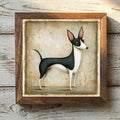 Portuguese Podengo Pequeno Black & White - Variation 1