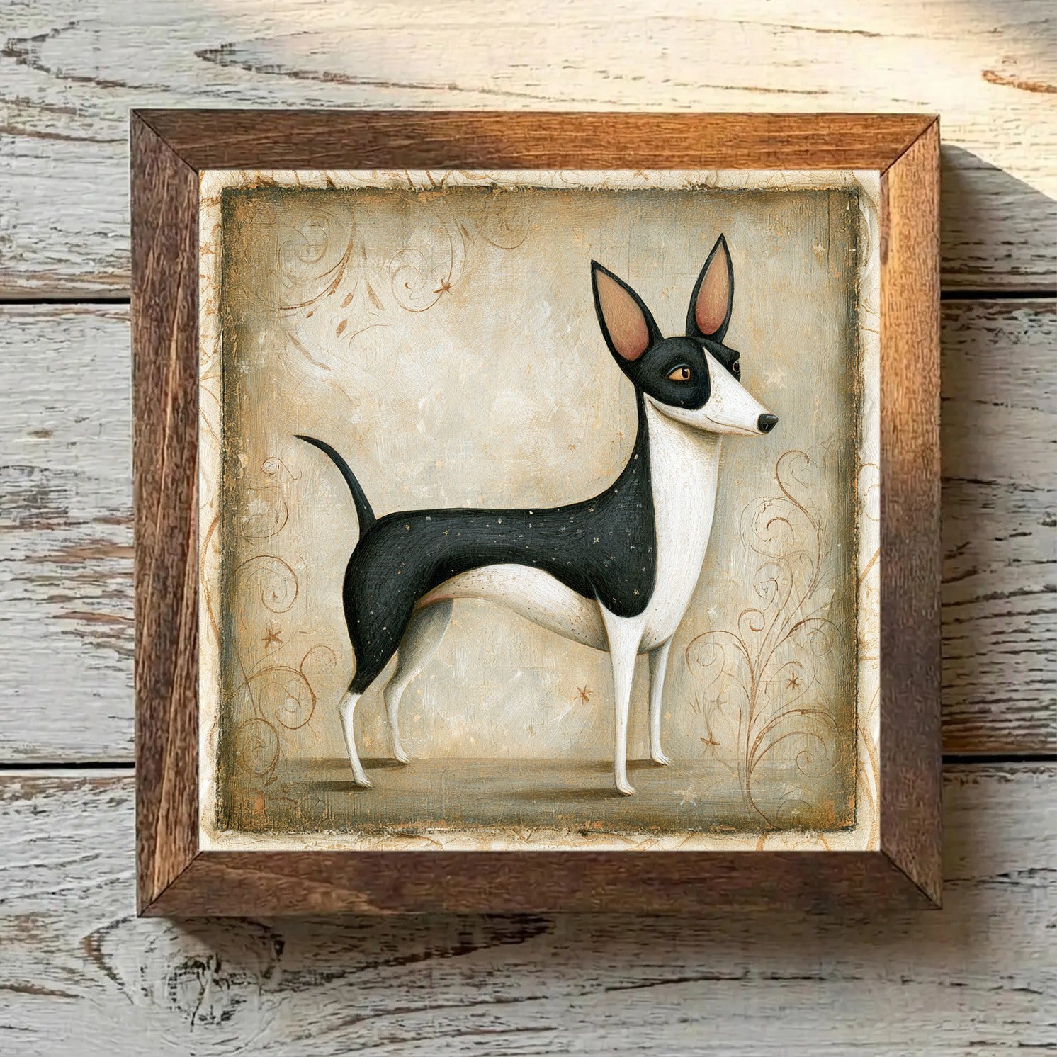 Portuguese Podengo Pequeno Black & White - Variation 1