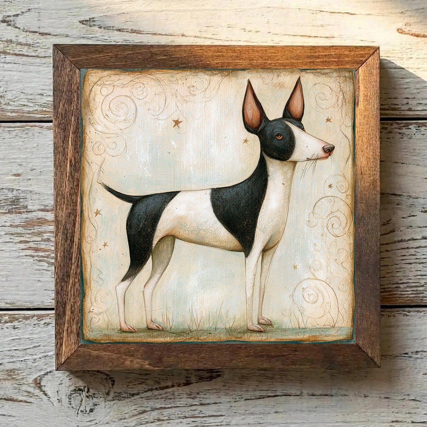 Portuguese Podengo Pequeno Black & White - Variation 2