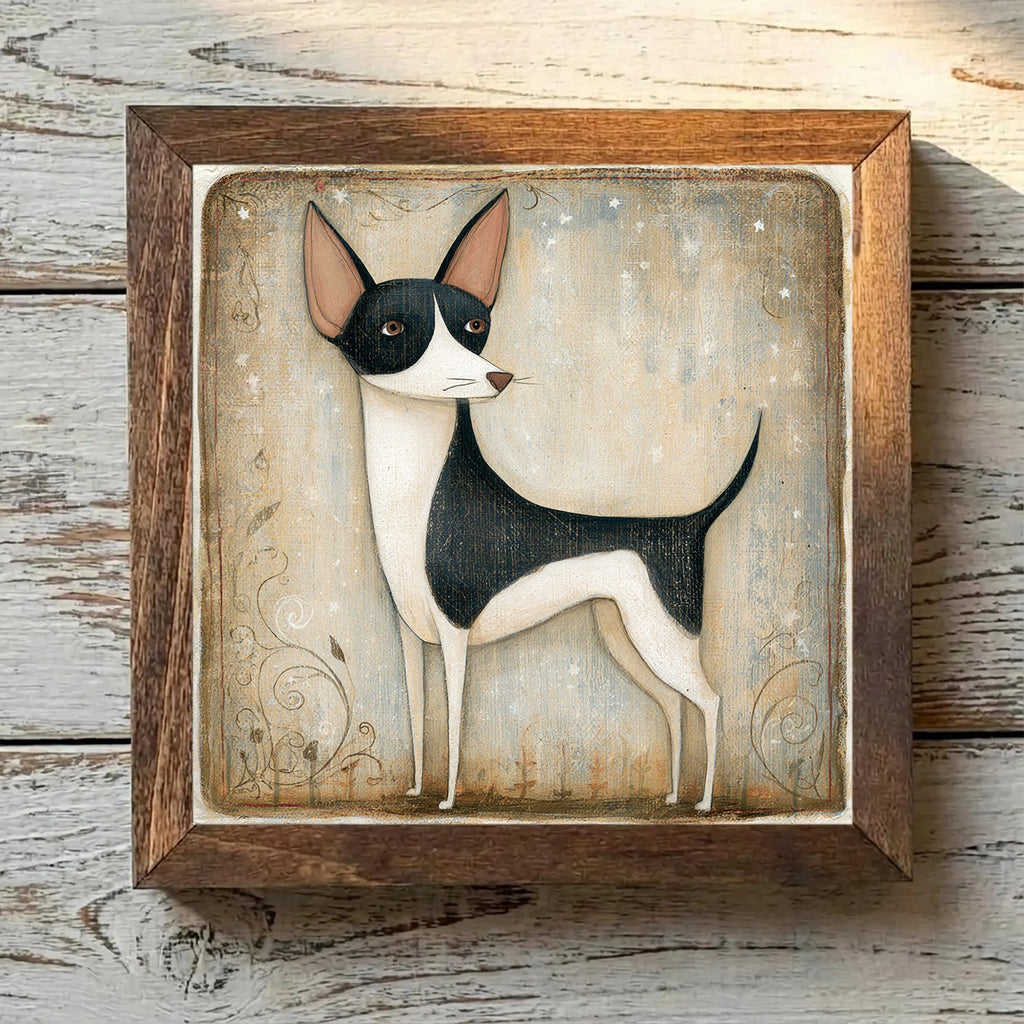 Portuguese Podengo Pequeno Black & White - Variation 4