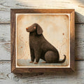 Portuguese Water Dog Brown - Variation 1