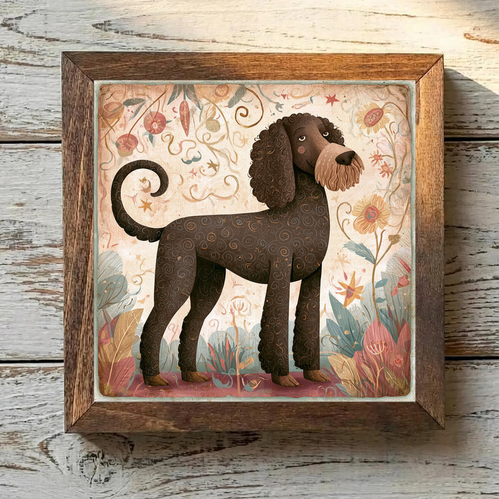 Portuguese Water Dog Brown - Variation 2