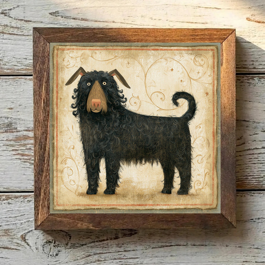 Puli Rusty Black - Variation 3