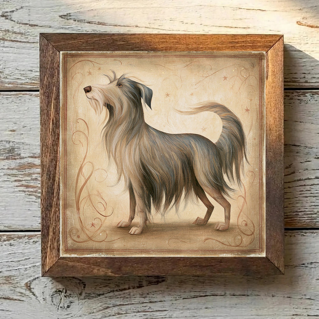 Pyrenean Shepherd Brindle Merle - Variation 1