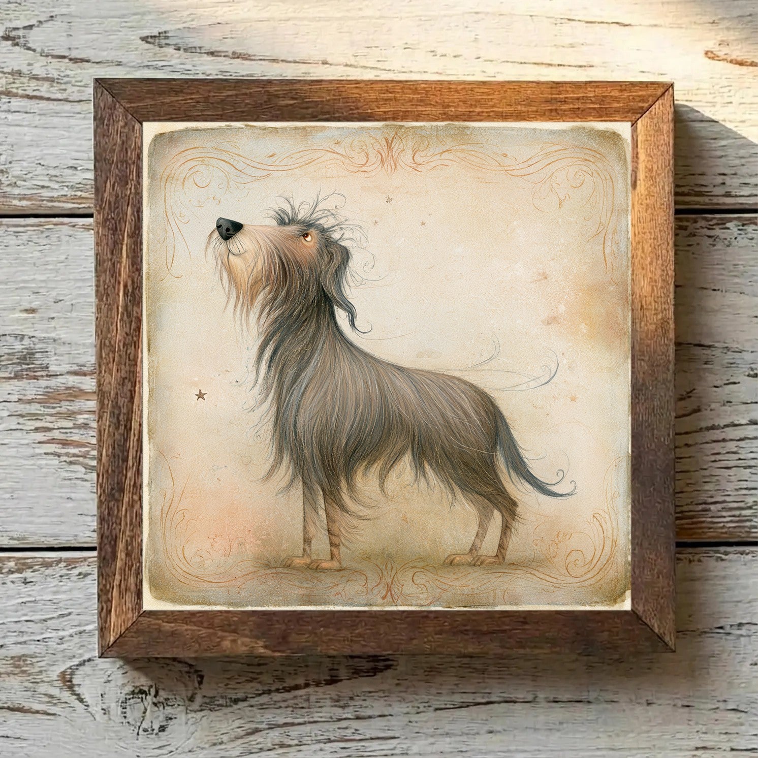 Pyrenean Shepherd Brindle Merle - Variation 3