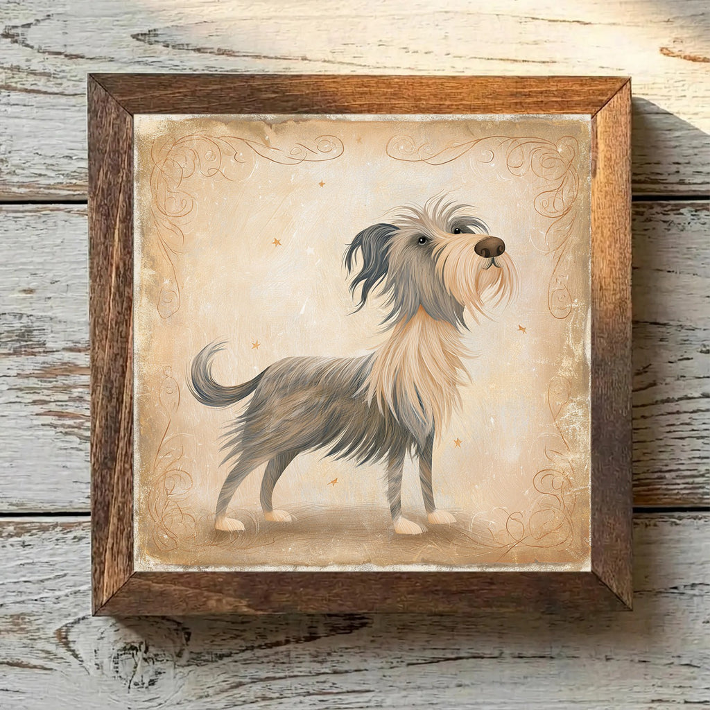 Pyrenean Shepherd Brindle Merle - Variation 4