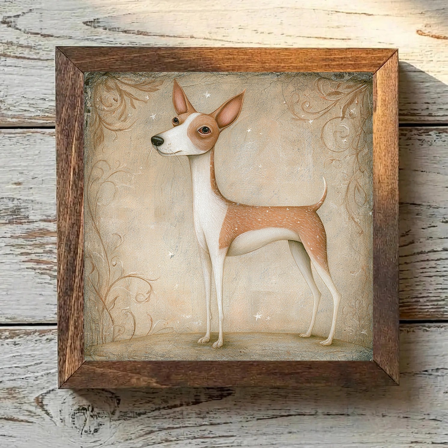 Rat Terrier Tan & White - Variation 3