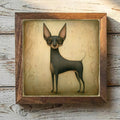 Russian Toy Sable - Variation 1