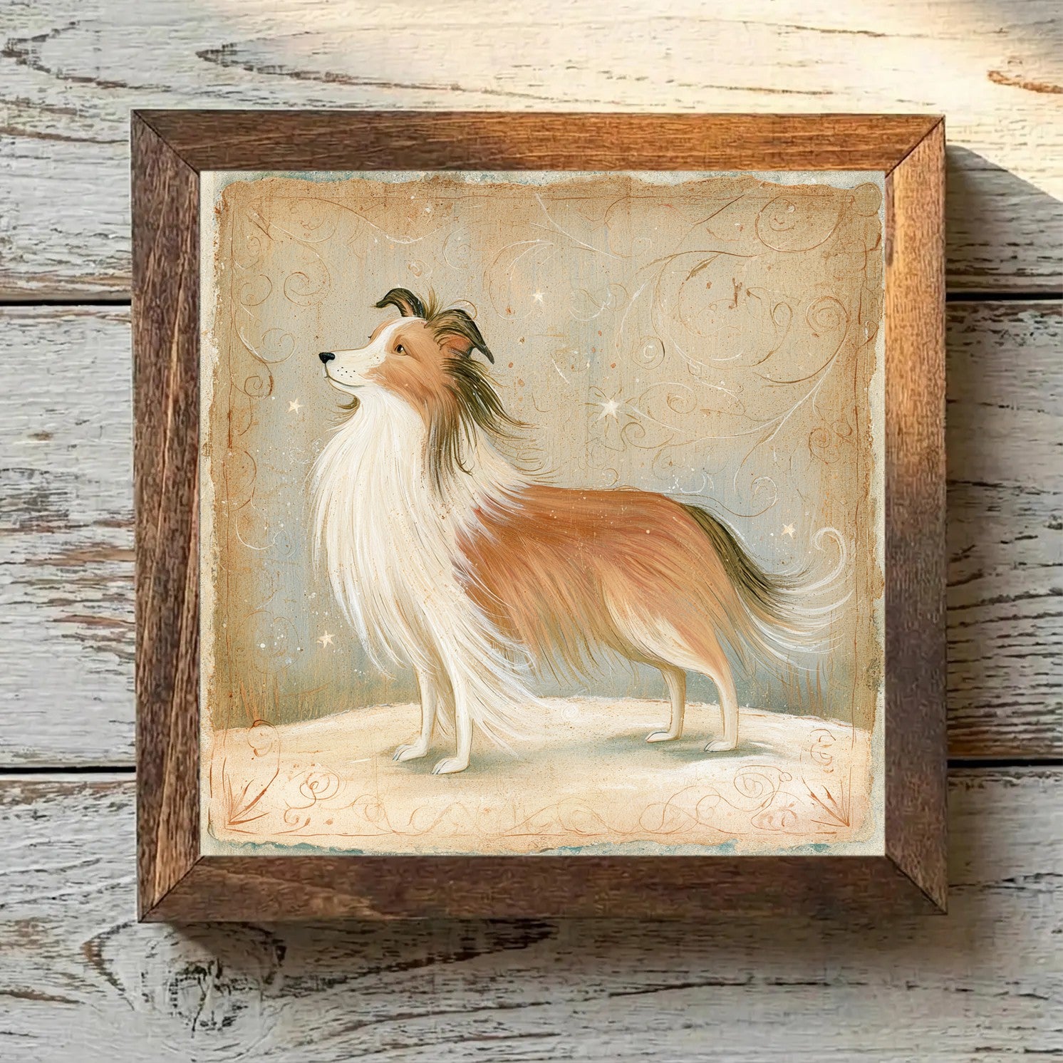 Shetland Sheepdog Sable - Variation 1