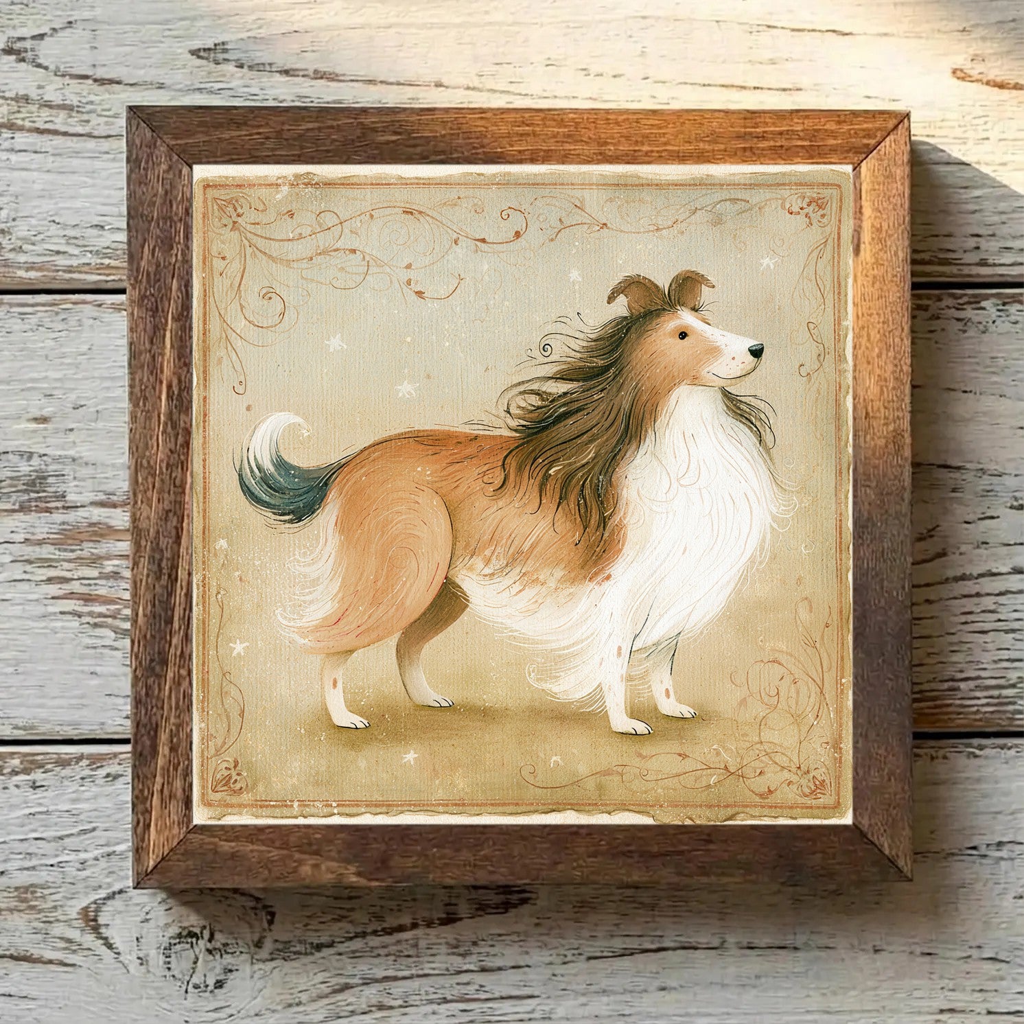 Shetland Sheepdog Sable - Variation 2