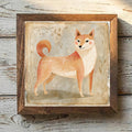 Shiba Inu Red - Variation 1