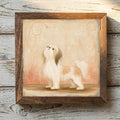 Shih Tzu Gold & White - Variation 1