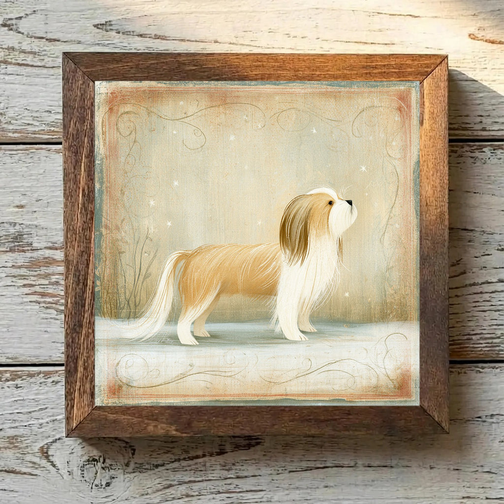 Shih Tzu Gold & White - Variation 2